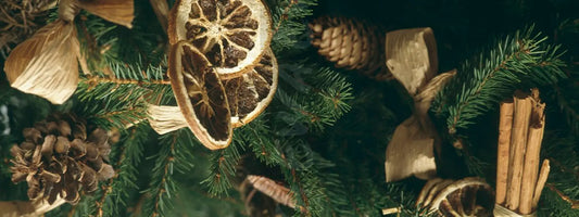 Eco-friendly Christmas ideas: let's celebrate sustainably!