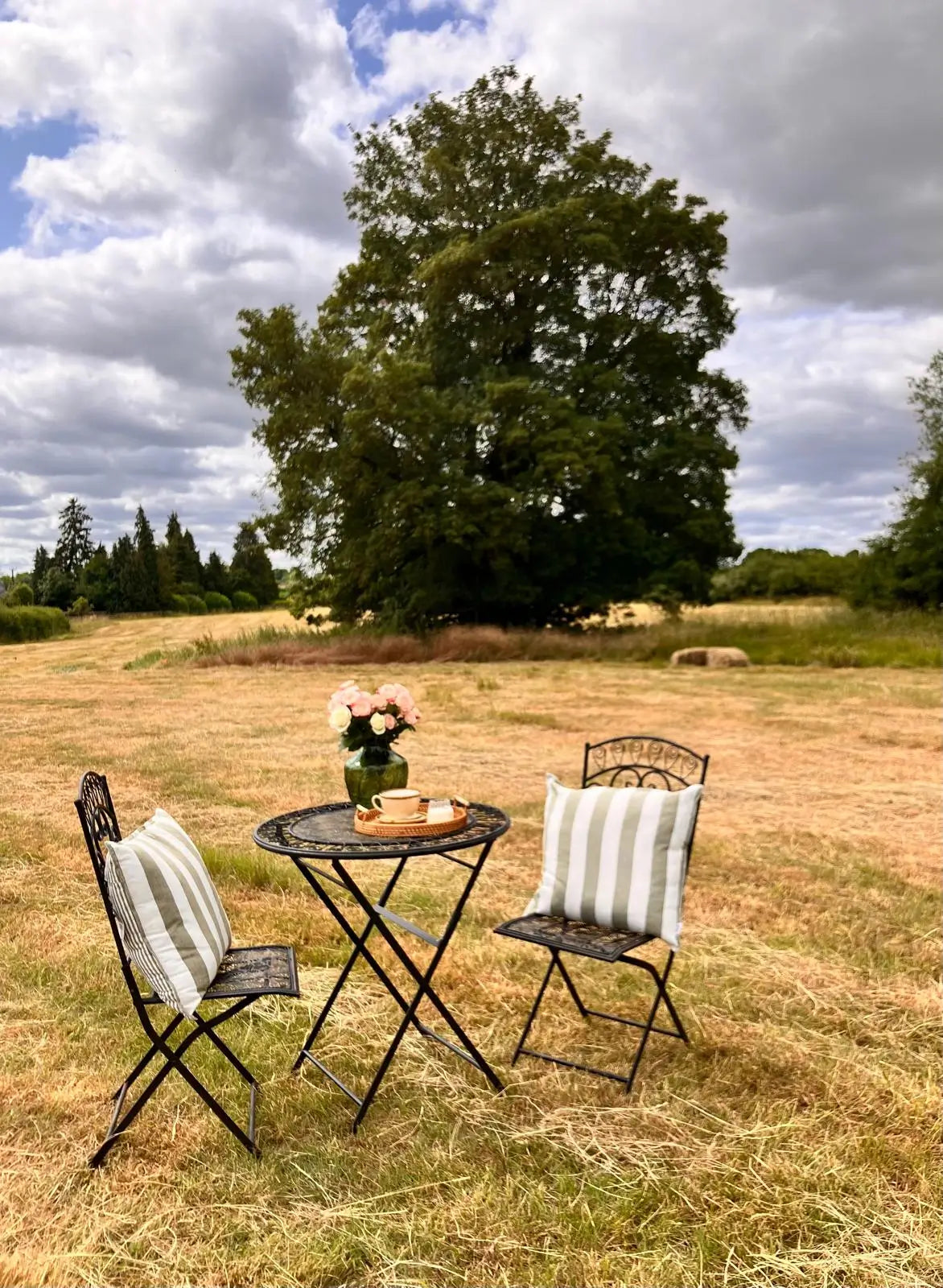 esher-striped-reversible-outdoor-cushions-on-antique-bronze-bistro-set-at-albury-house-interiors