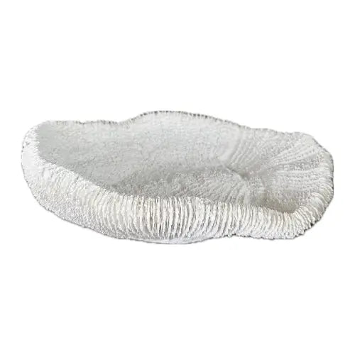 white-faux-fungia-coral-bowl-ornament-at-albury-house-interiors-coffee-shop-essex