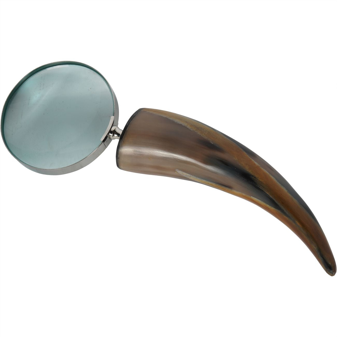 Horn Magnifying Glass