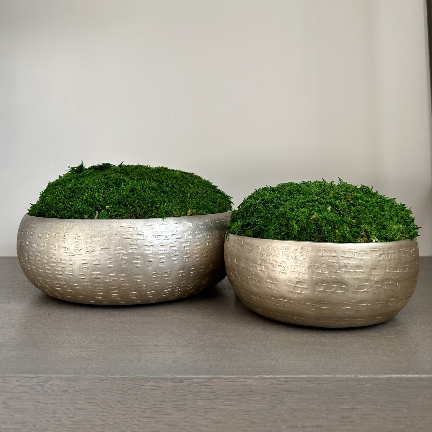 Champagne Natural Moss Bowl
