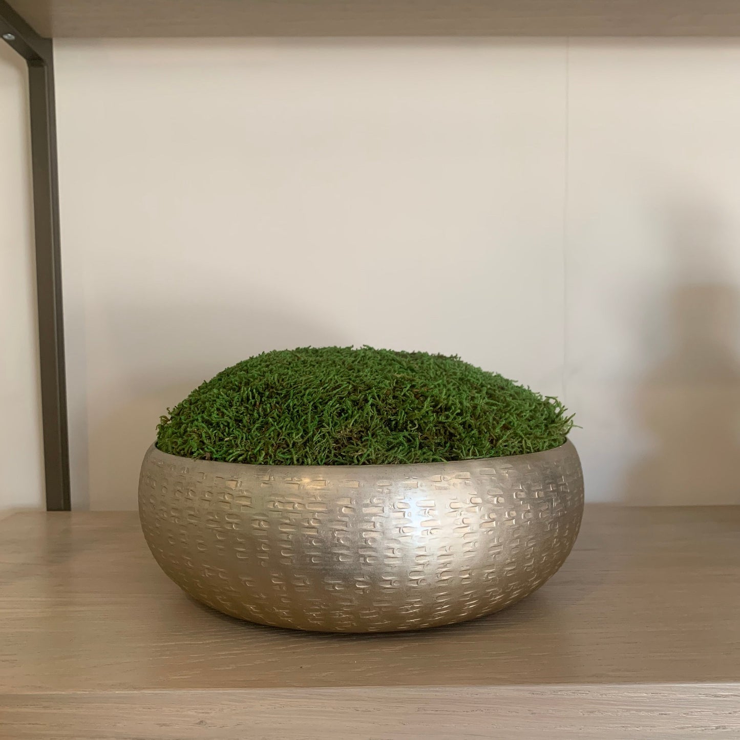 Champagne Natural Moss Bowl