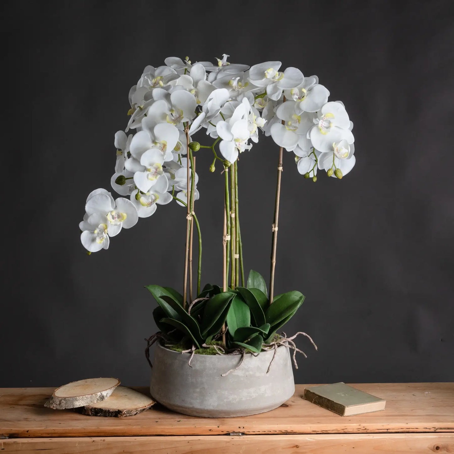 Large realistic faux orchid flower with of leaves and foliage, in grey cement stone round pot, available to purchase from Albury House Interiors - interior design and styling accessories.