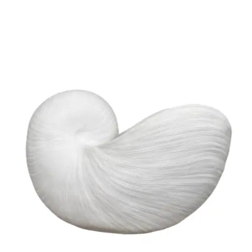 white-nautilus-swirl-shell-bowl-ornament-at-albury-house-interiors