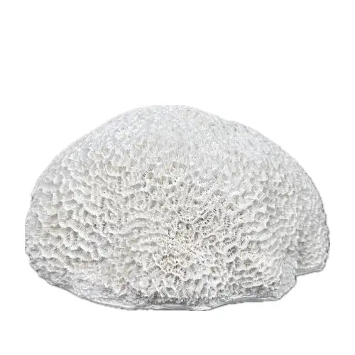 textured-faux-coral-at-albury-house-interiors