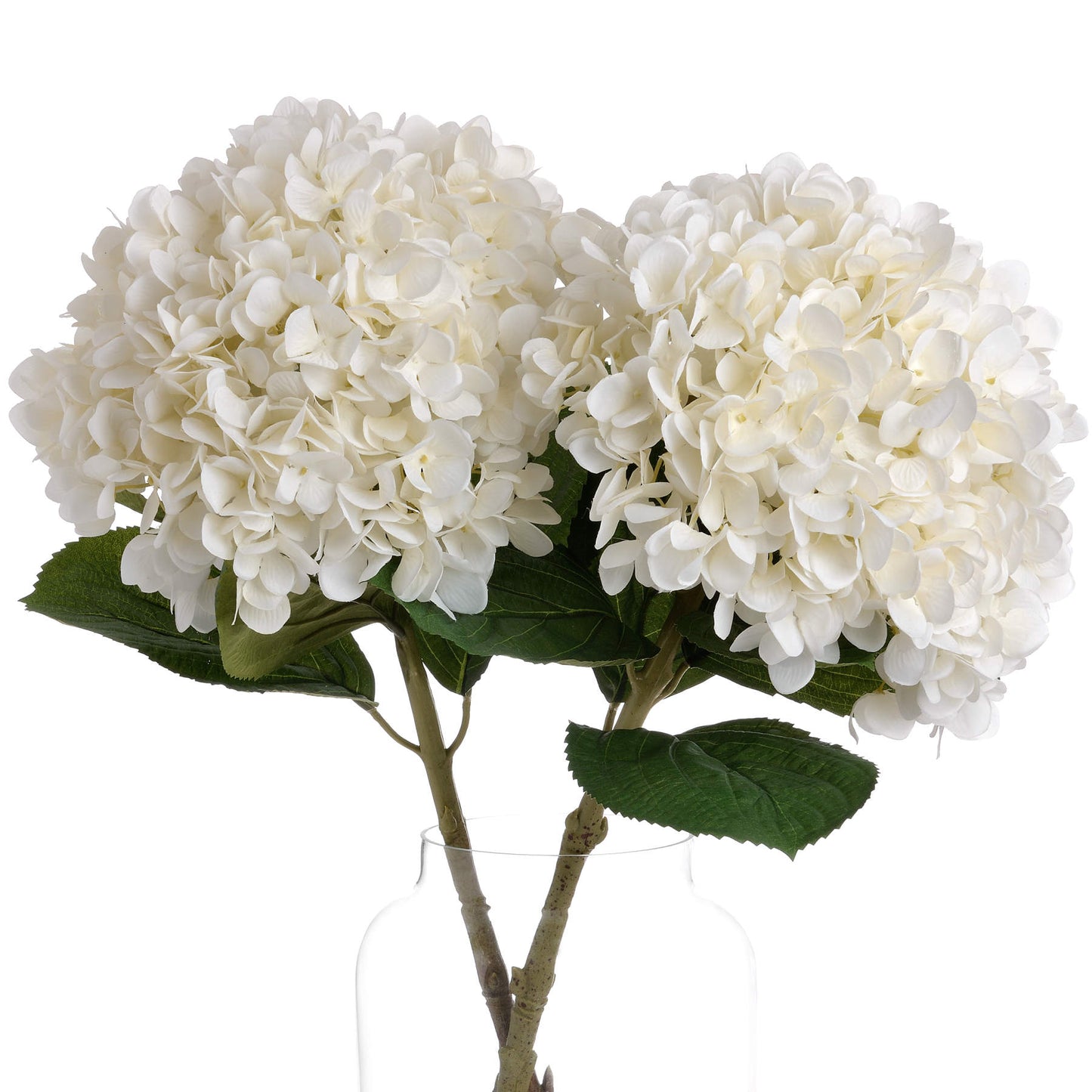 Oversized White Hydrangea Stem