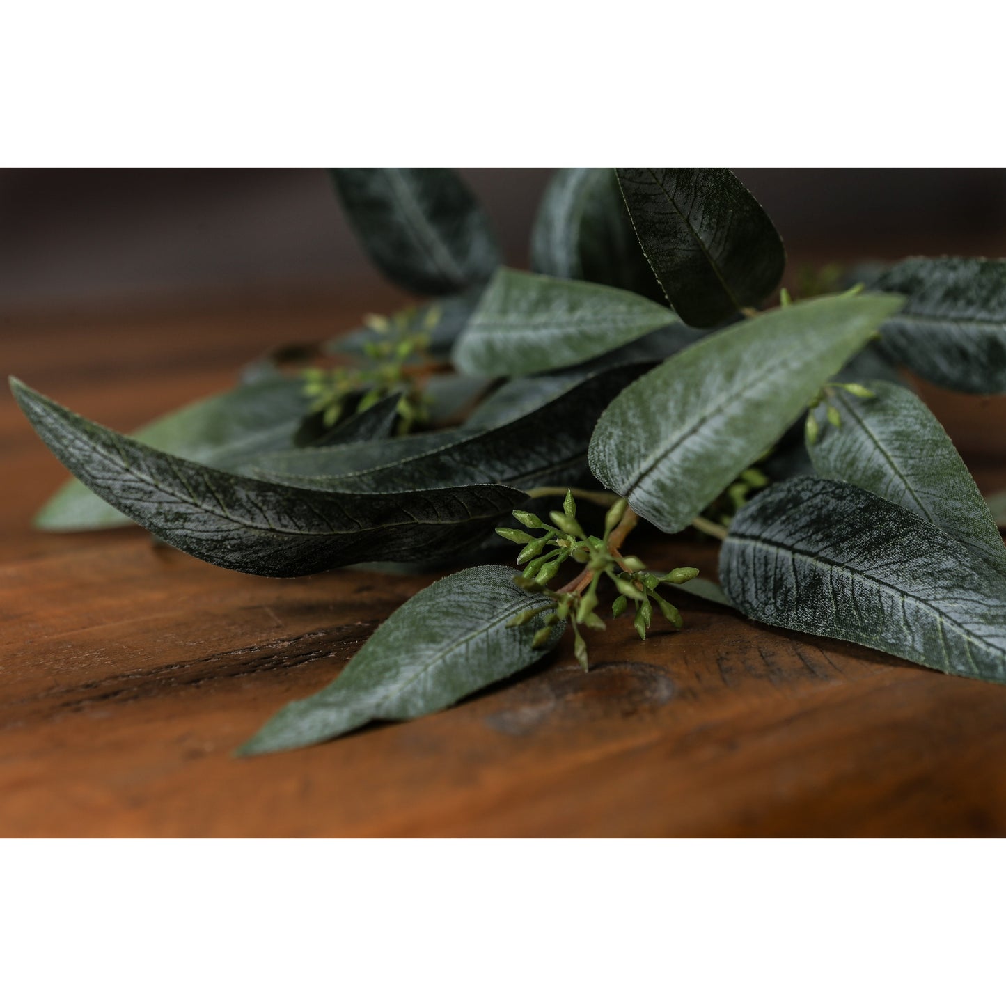 Seeded Eucalyptus Stem