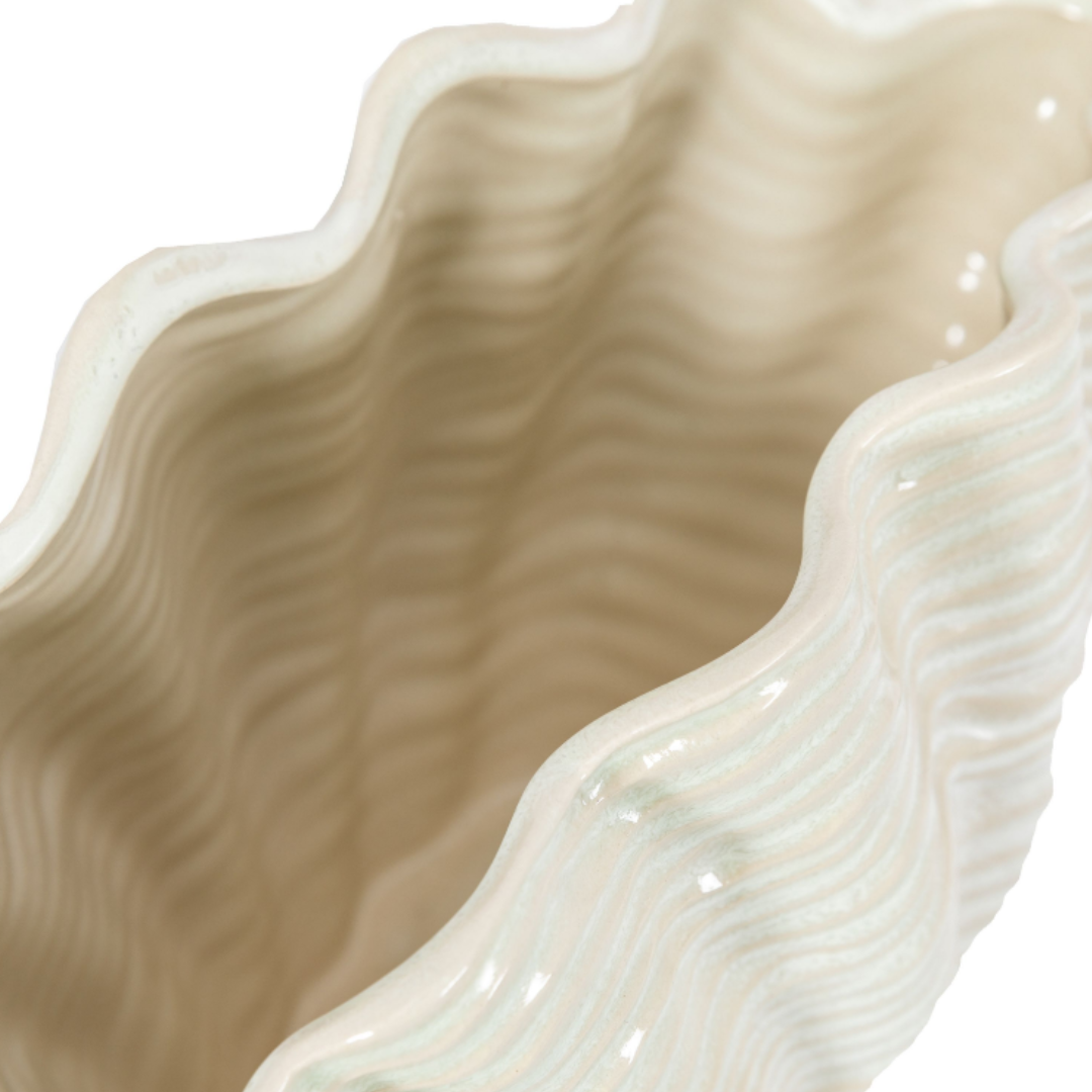 Shell Vase
