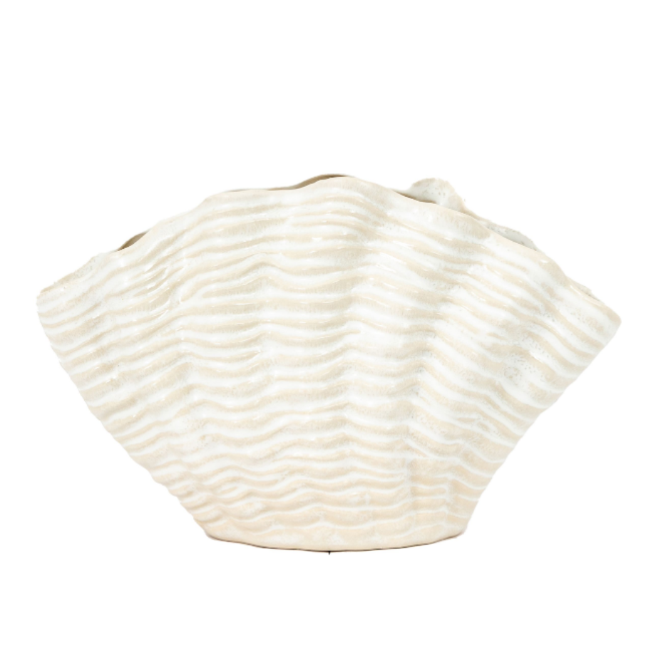 Shell Vase