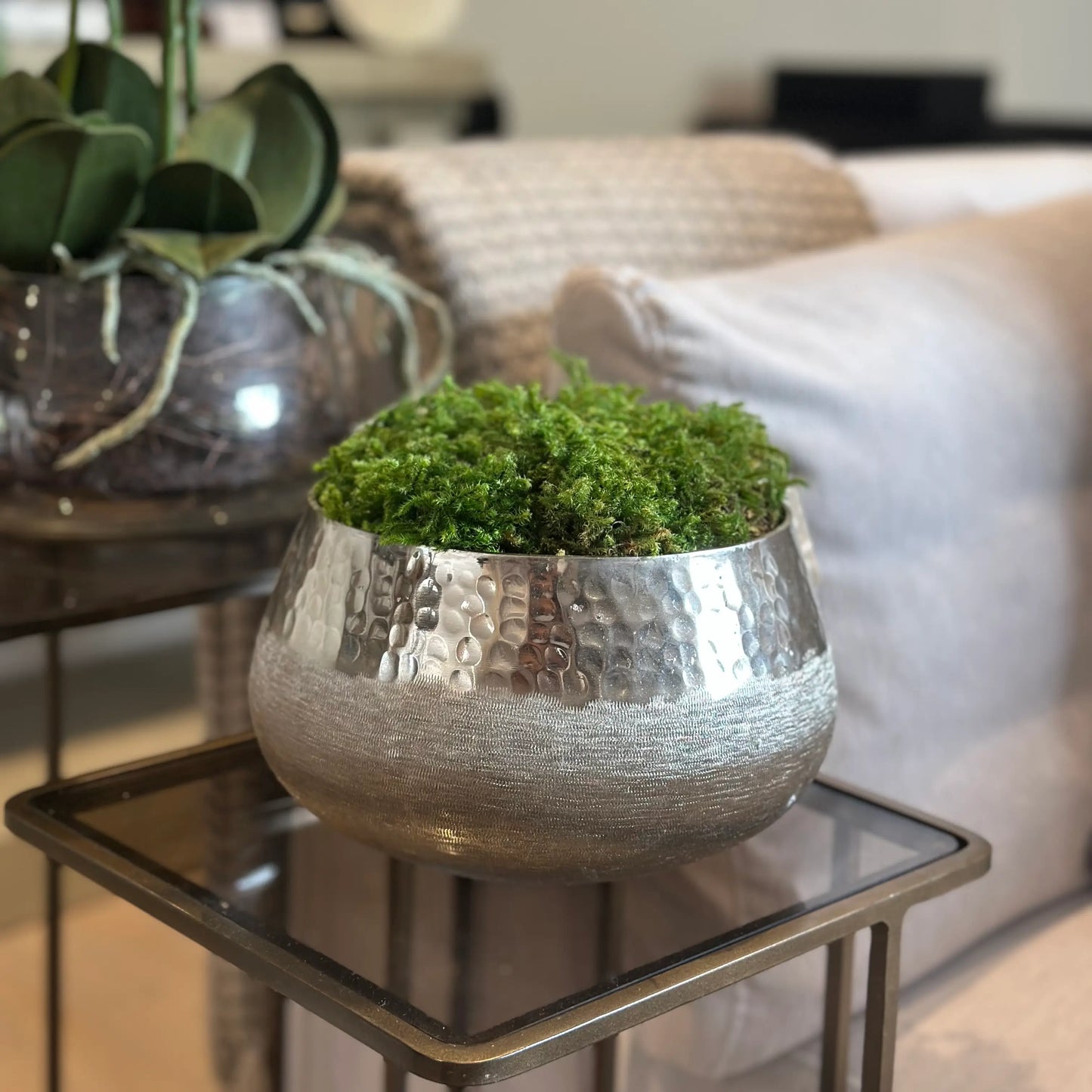 zhurie-hammered-and-brushed-chrome-silver-bowl-with-preserved-natural-green-moss-at-albury-house-interiors-essex
