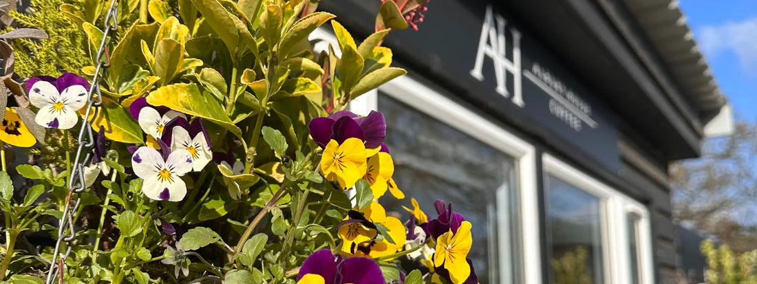 The Opening of Albury House Coffee!