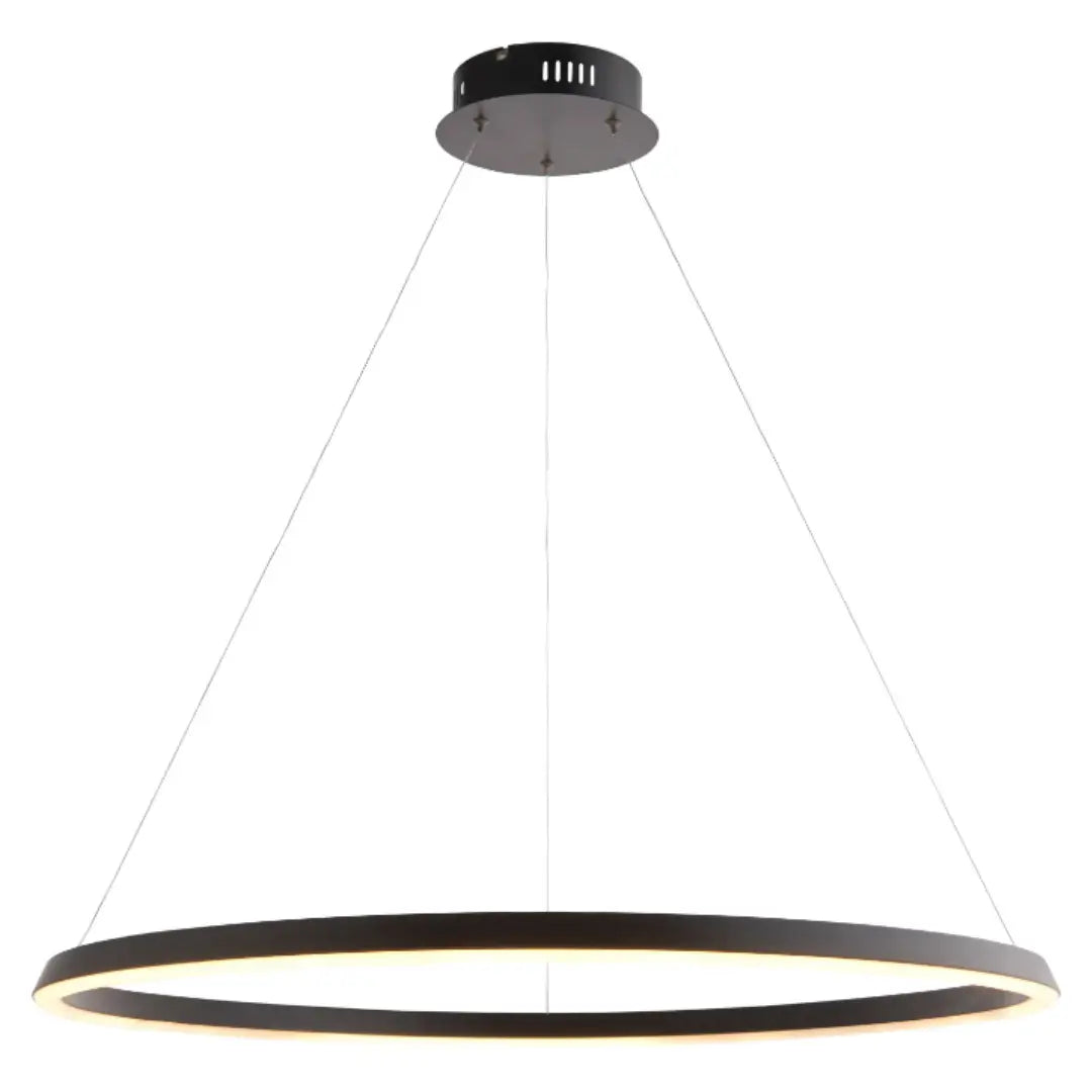 black-round-halo-ceiling-light-at-albury-house-interiors