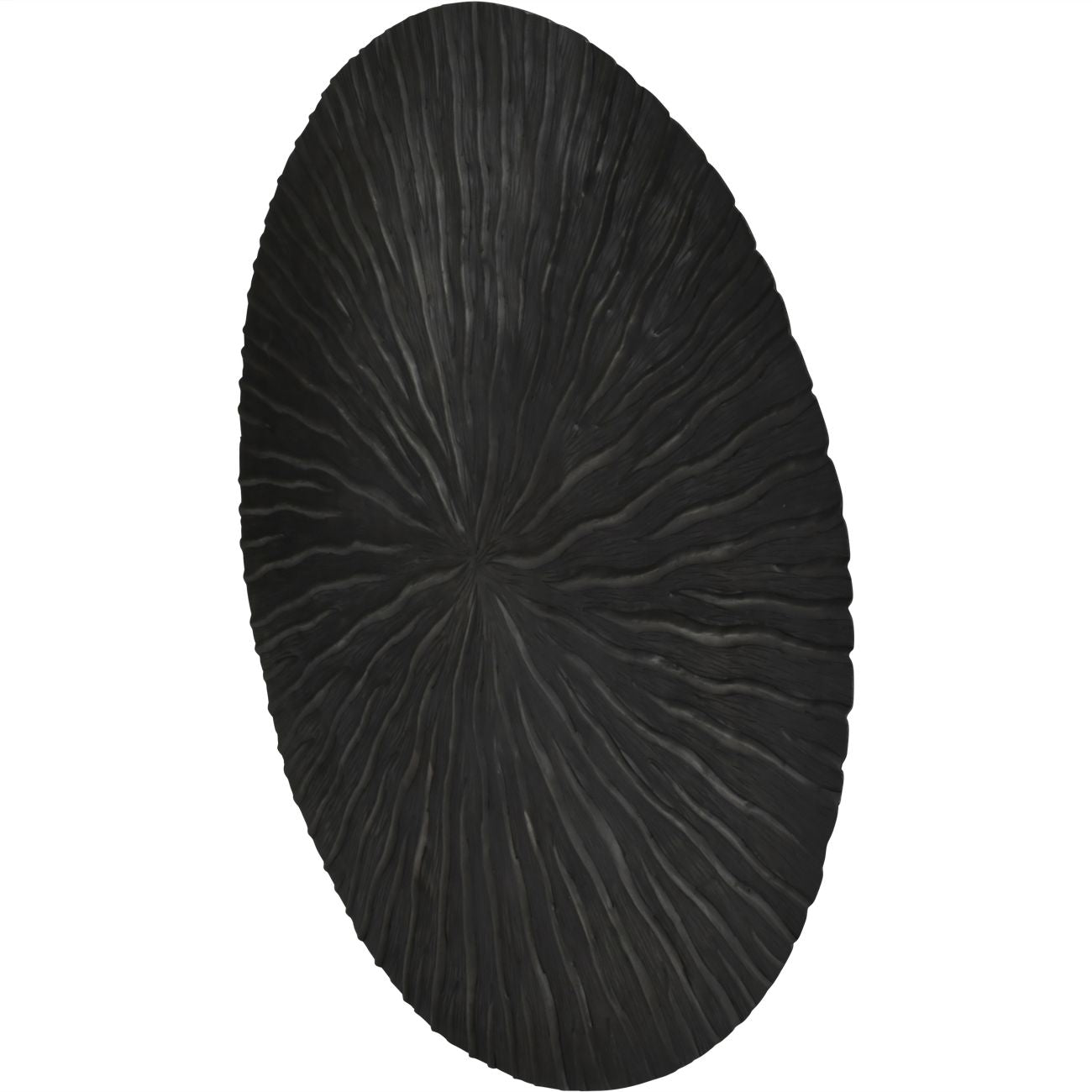 Black Nickel Wall Disc