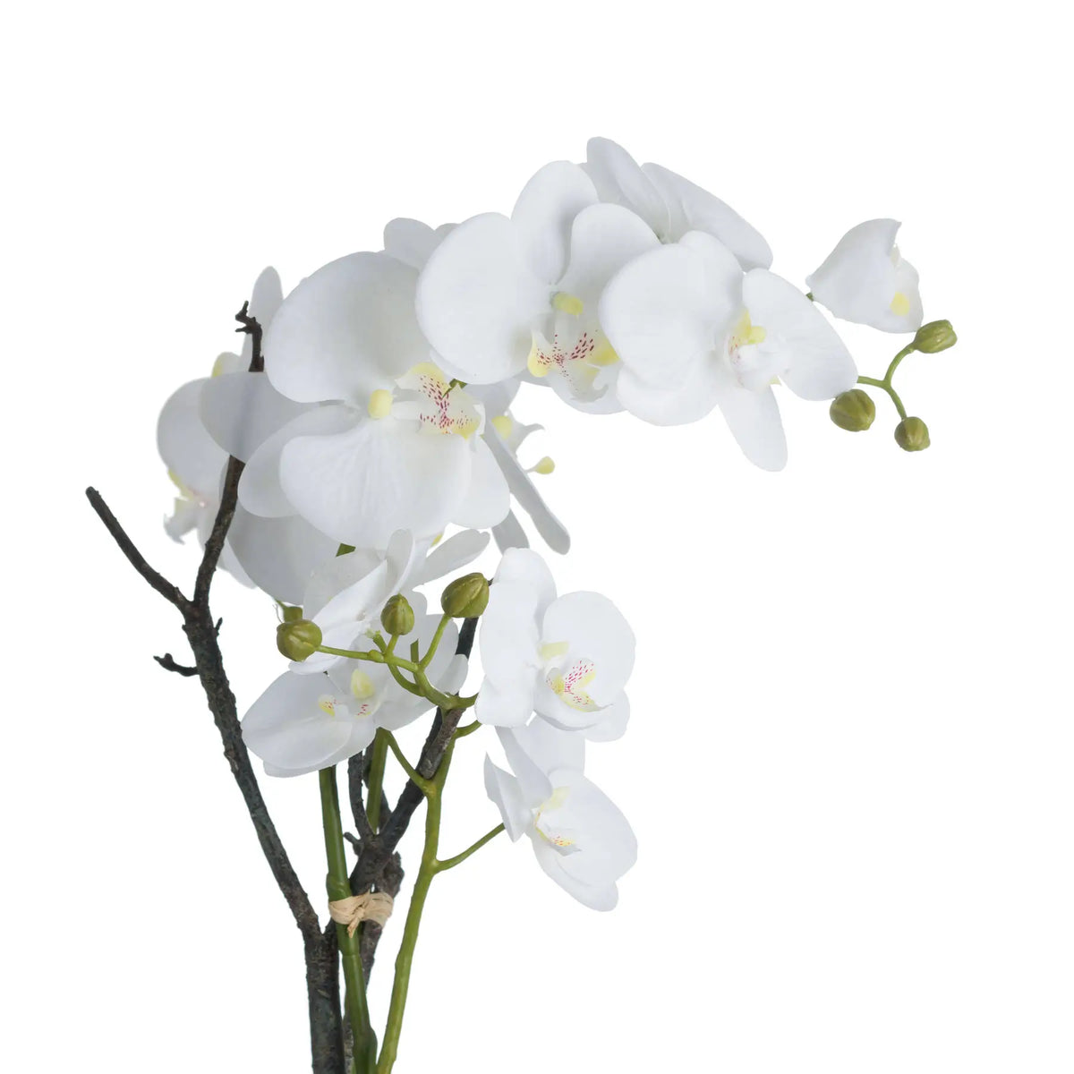 White faux realistic orchid flower in antique stone rustic pot, available to purchase from Albury House Interiors.