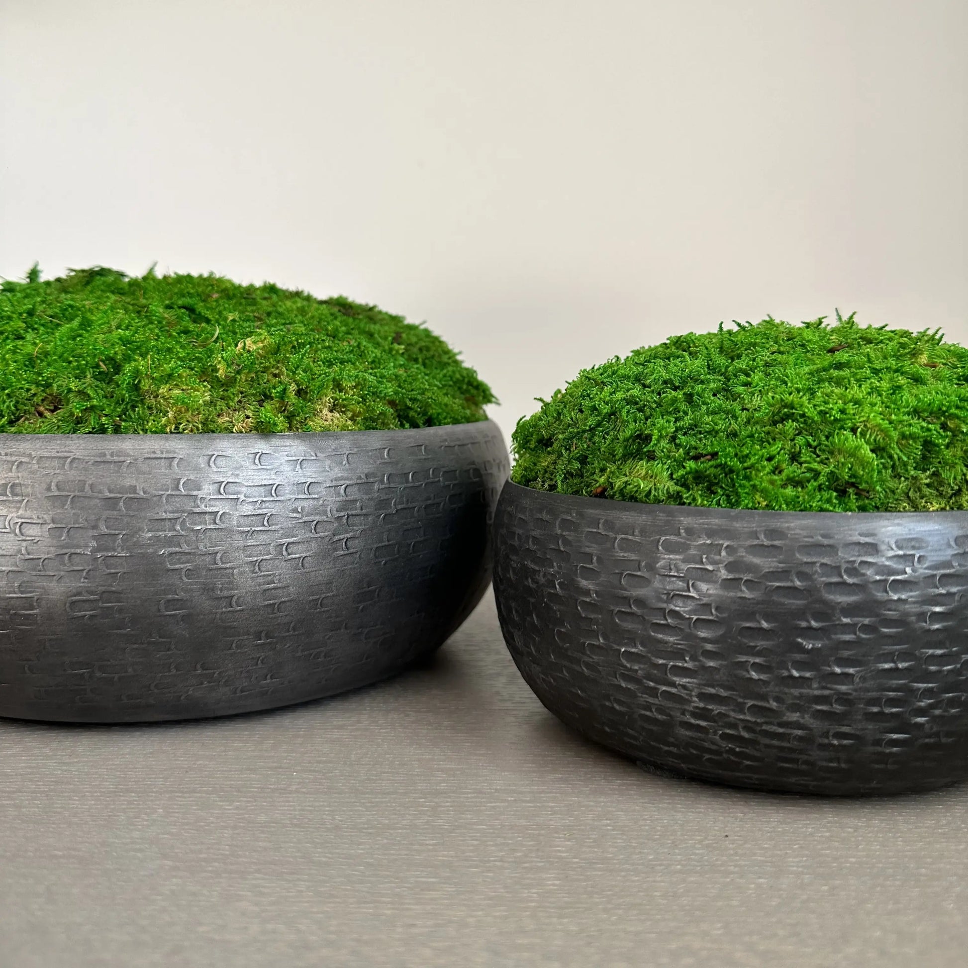 Graphite hammered effect bowls displaying green preserved natural moss which requires no upkeep. Used by interior designers. Available to purchase from Albury House Interiors.