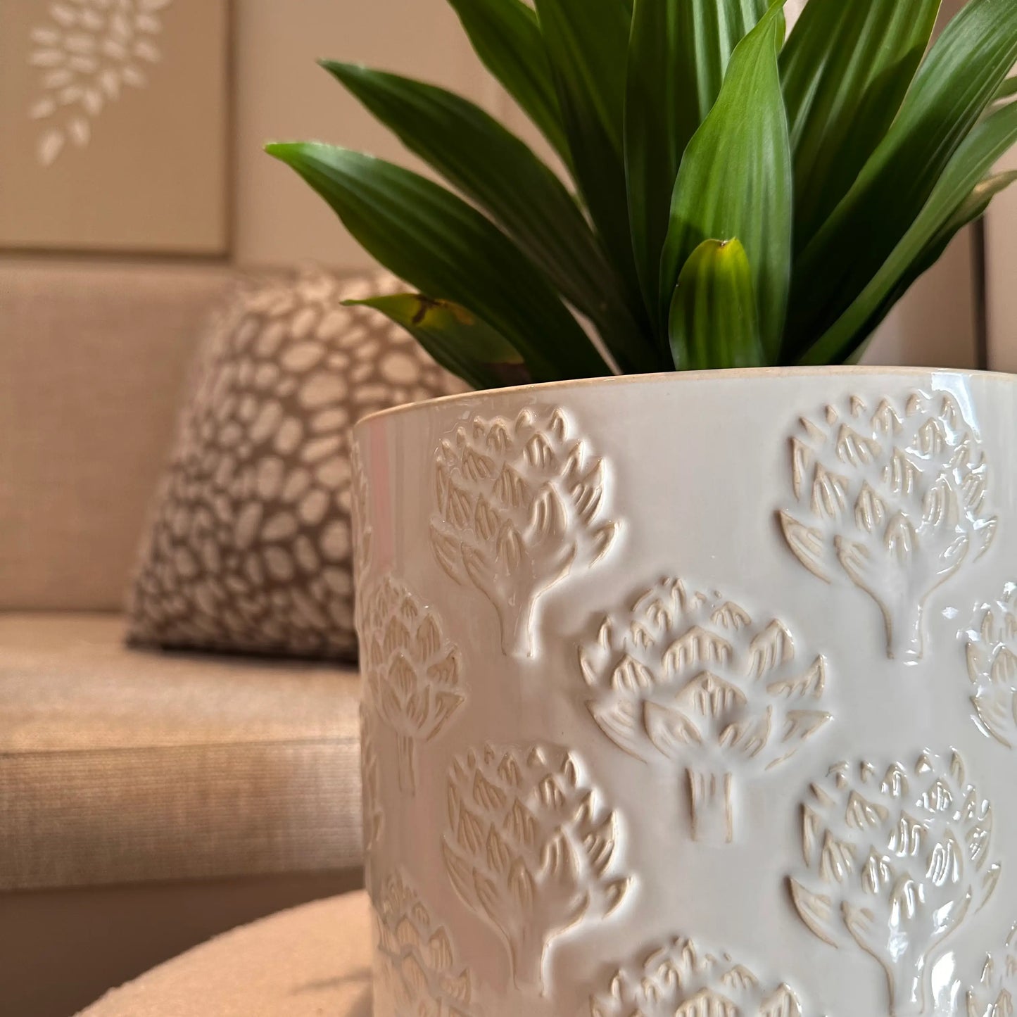 cream-large-artichoke-plant-pot-made-by-gisela-graham-with-evergreen-plant-at-albury-house-interiors