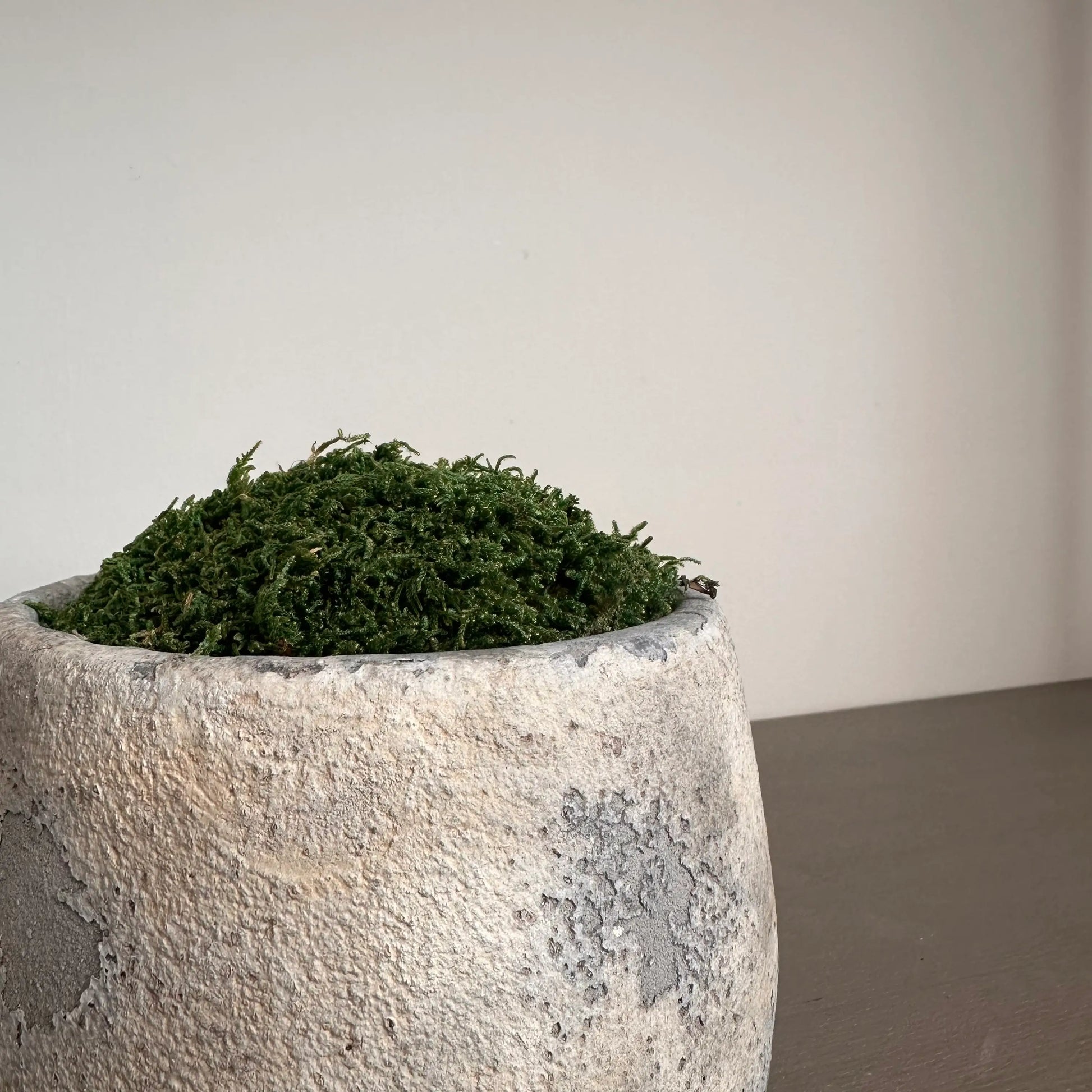 closeup-of-rustic-antique-cement-preserved-moss-bowl-at-albury-house-interiors-home-decor-shop-essex-hertfordshire