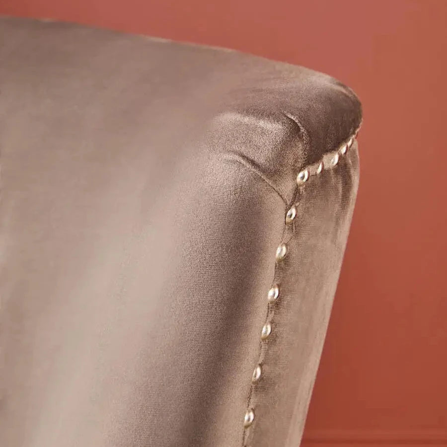 Cologne mink soft plush velvet occasional or dining chair with black square wooden legs, and chrome stud detail around each edge. Available at Albury House Interiors