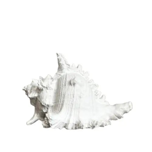 White faux conch shell ornament crafted from resin and finished in matte white. Available to purchase from Albury House Interiors. 