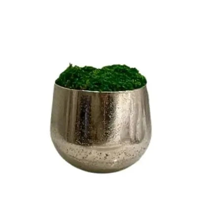 Chrome silver textured moss bowl, with preserved natural green moss, displayed in 30 suites across the iconic Corinthia Hotel London. Available to purchase from Albury House Interiors, homewares in the UK. 