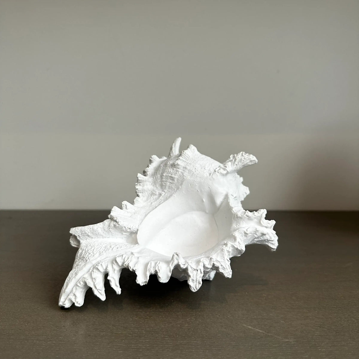 White faux conch shell ornament crafted from resin and finishes in matte white, Available to purchase from Albury House Interiors. 