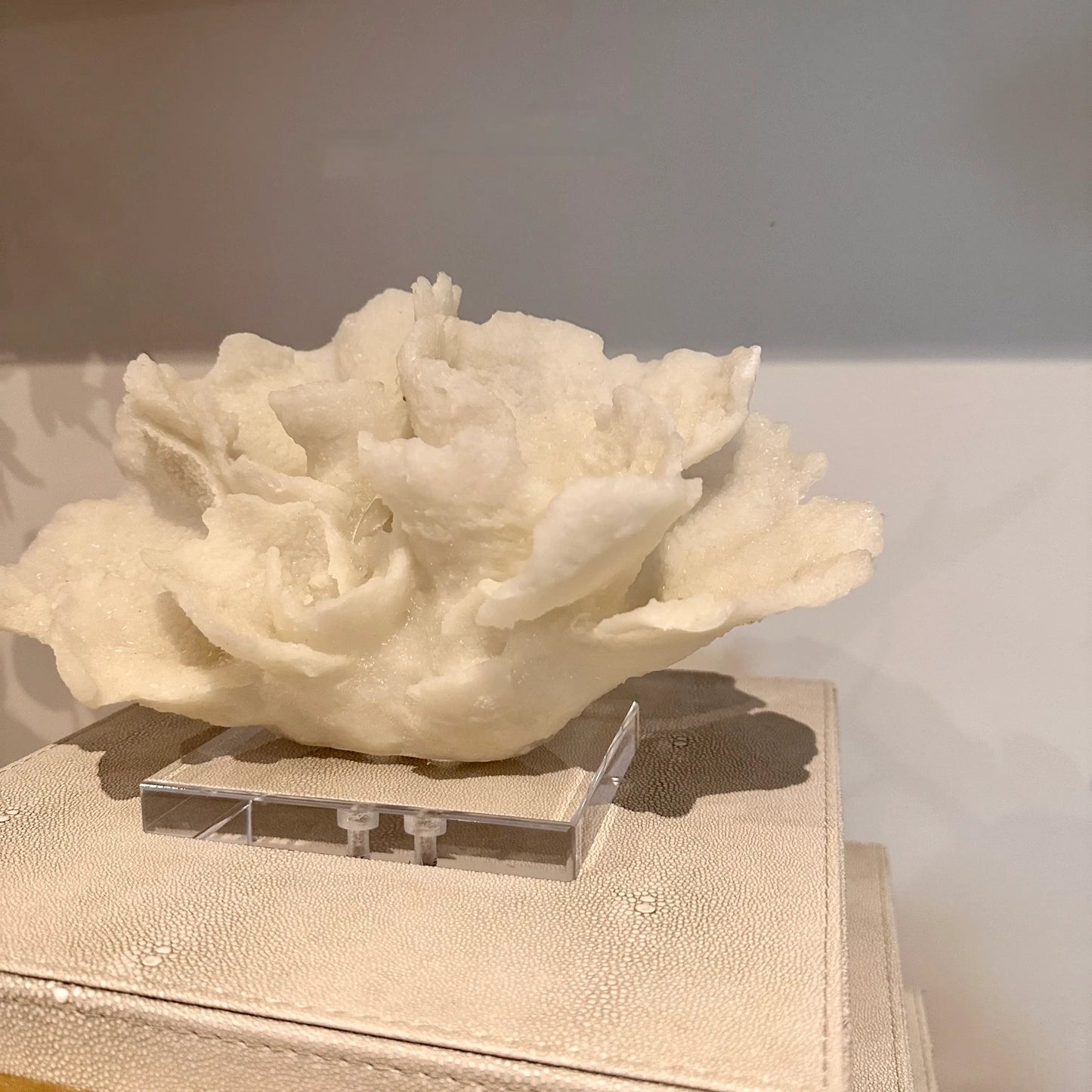 cream-faux-coral-sculpture-on-clear-acrylic-base-on-top-of-cream-faux-shagreen-boxes-at-albury-house-interiors
