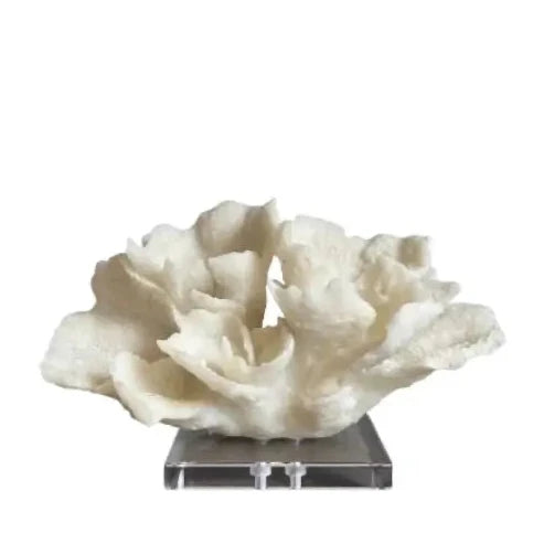 cream-faux-coral-sculpture-on-clear-acrylic-base-at-albury-house-interiors