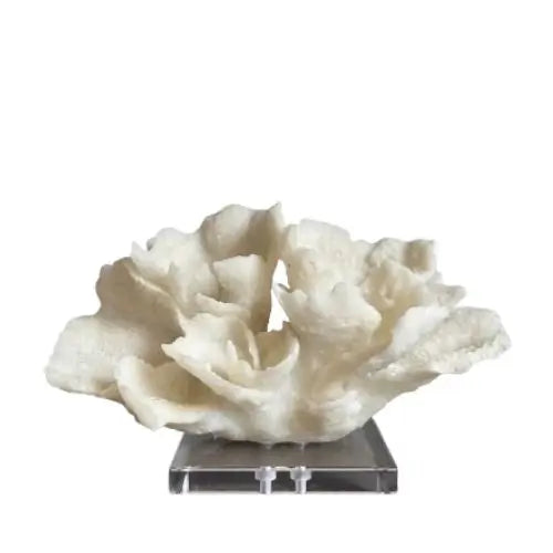 cream-faux-coral-sculpture-on-clear-acrylic-base-at-albury-house-interiors