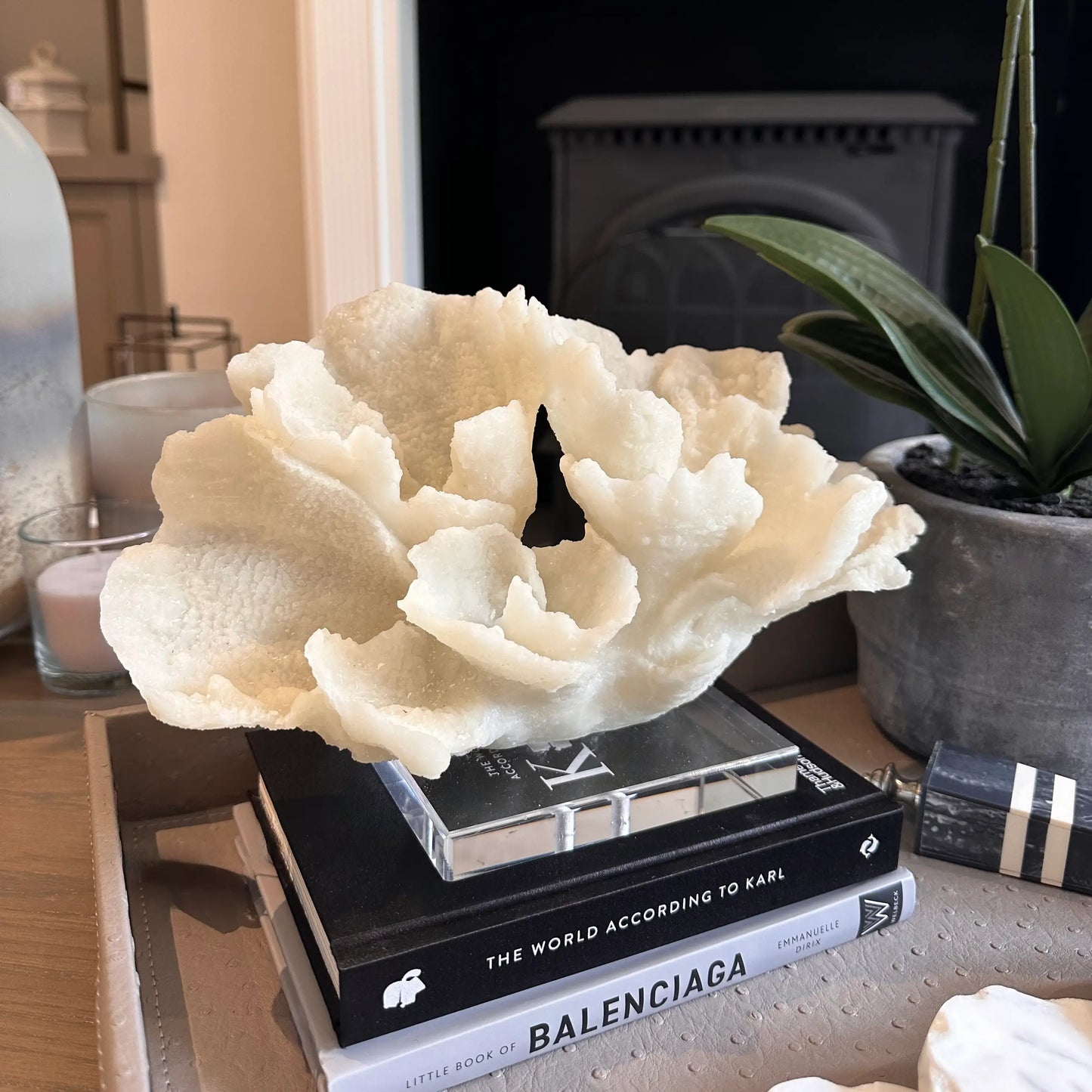 cream-faux-coral-sculpture-on-clear-acrylic-base-on-top-of-stack-of-books-at-albury-house-interiors