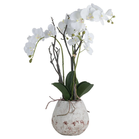 White faux realistic orchid flower in antique stone rustic pot, available to purchase from Albury House Interiors.