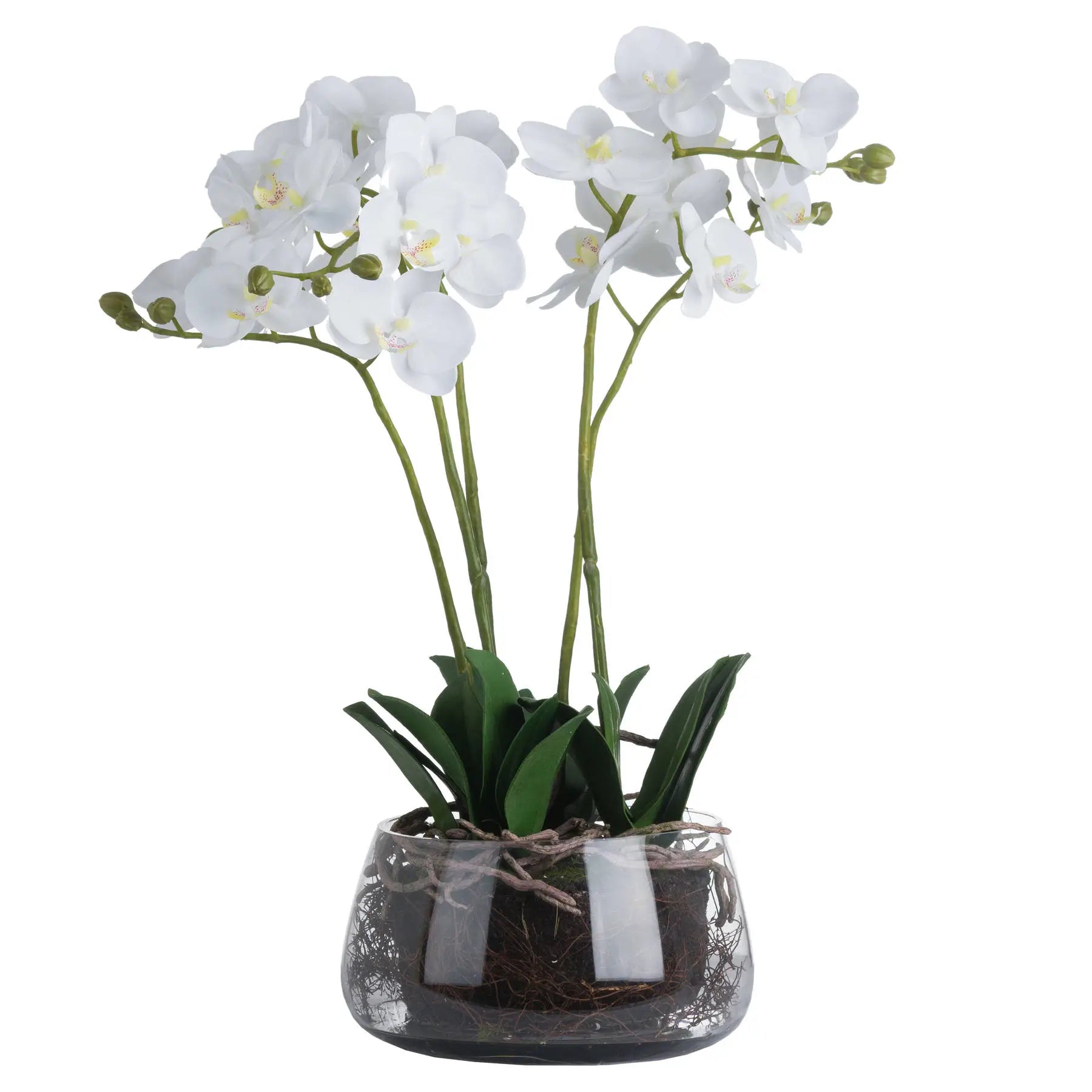 realistic-white-faux-orchid-flower-in-round-glass-pot-with-exposed-roots-and-green-leaves-at-albury-house-interiors-essex