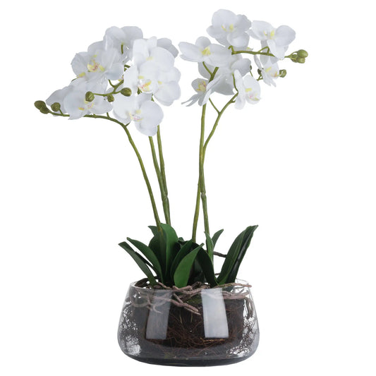 realistic-white-faux-orchid-flower-in-round-glass-pot-with-exposed-roots-and-green-leaves-at-albury-house-interiors-essex