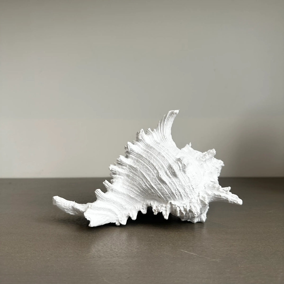 White faux conch shell ornament crafted from resin and finishes in matte white, Available to purchase from Albury House Interiors. 