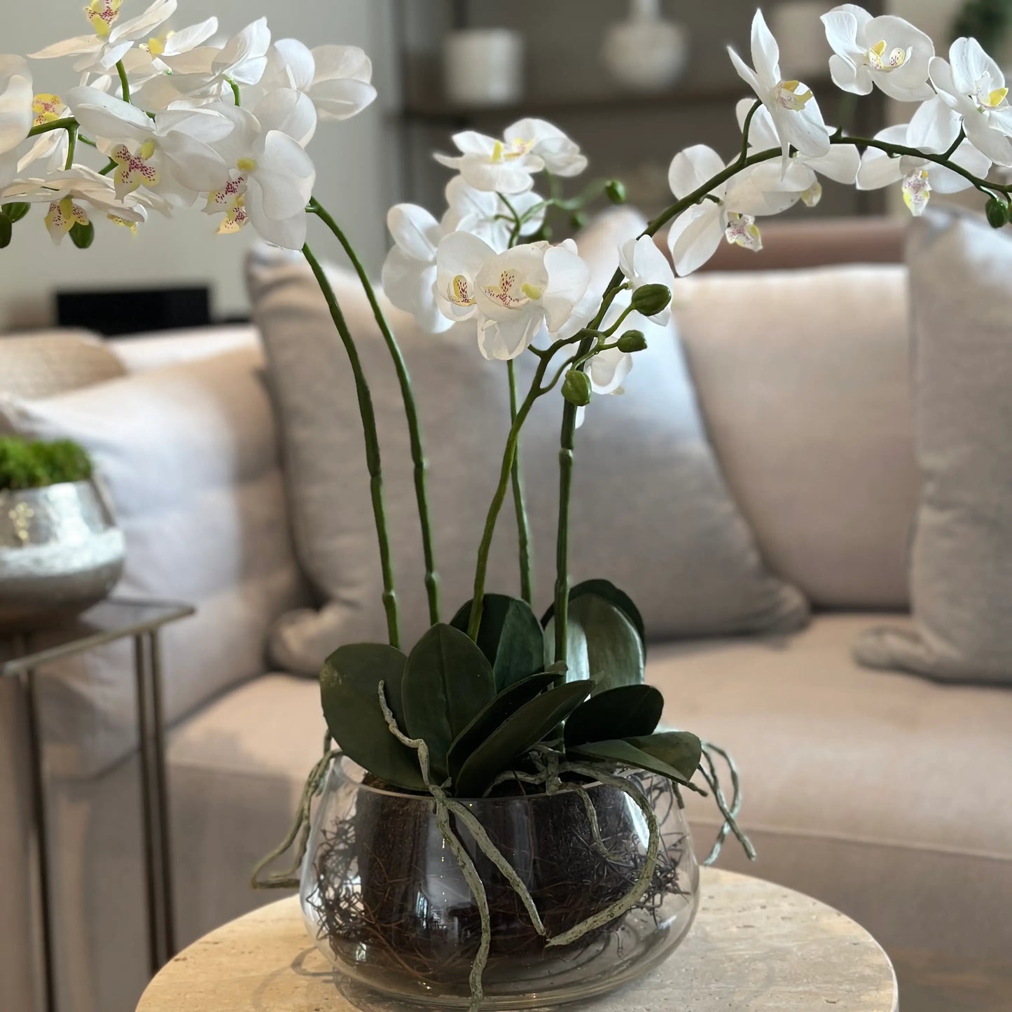 realistic-white-faux-orchid-flower-in-round-glass-pot-with-exposed-roots-and-green-leaves-at-albury-house-interiors-essex