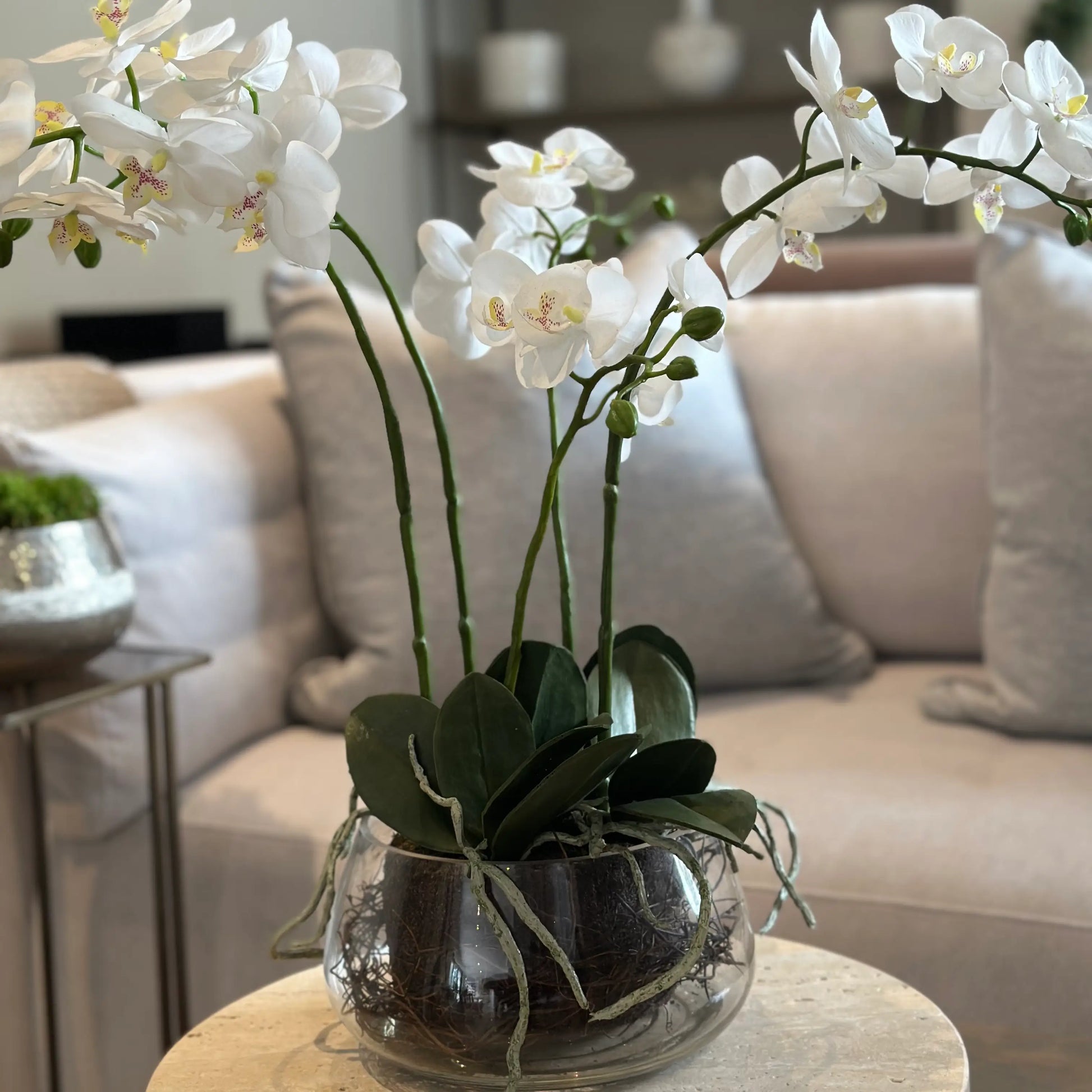 realistic-white-faux-orchid-flower-in-round-glass-pot-with-exposed-roots-and-green-leaves-at-albury-house-interiors-essex