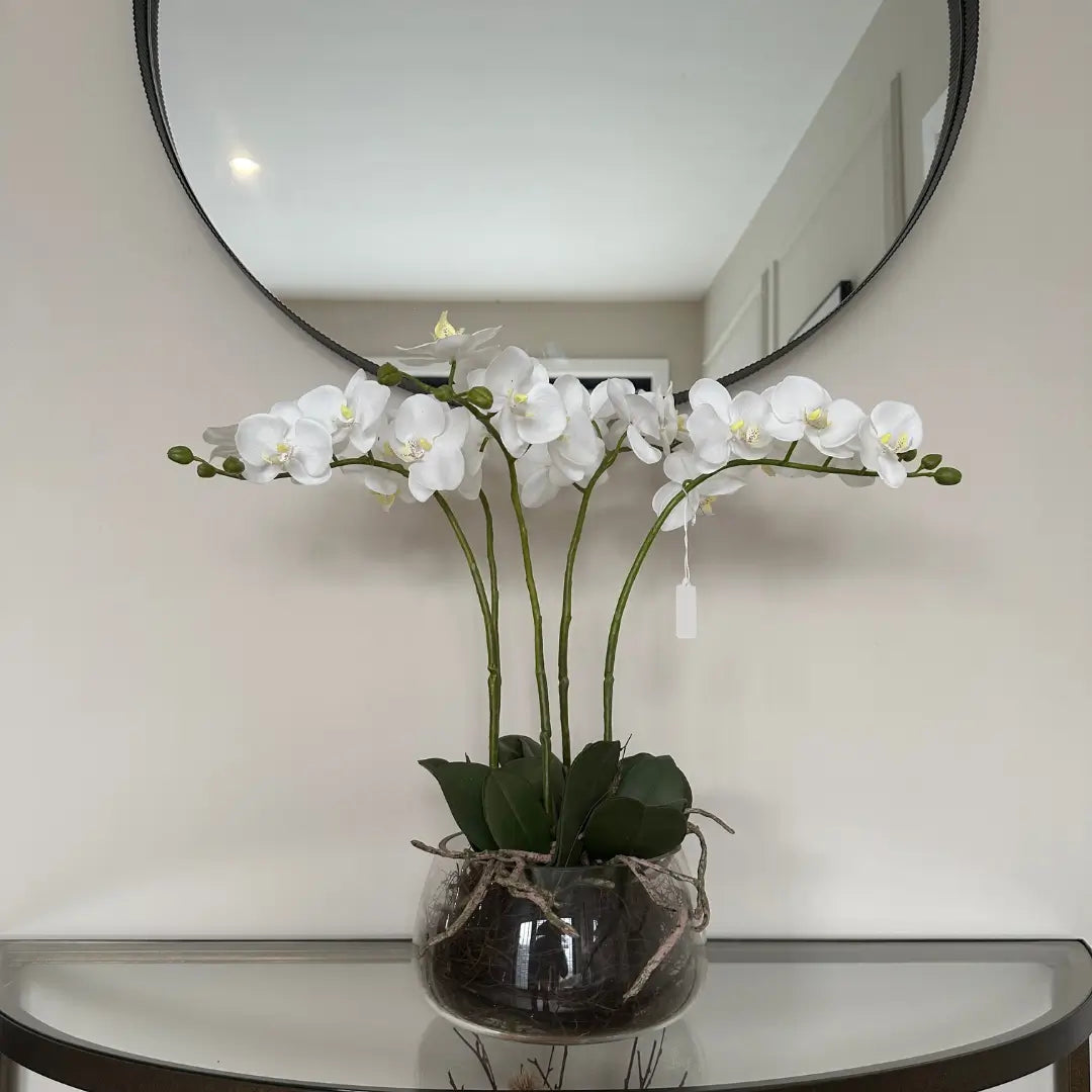 white-faux-orchid-flower-in-round-glass-pot-with-exposed-roots-and-green-leaves-at-albury-house-interiors-essex