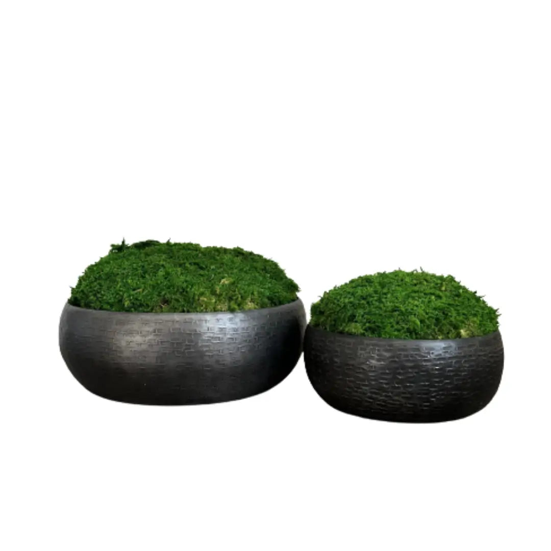 Graphite hammered effect bowls displaying green preserved natural moss which requires no upkeep. Used by interior designers. Available to purchase from Albury House Interiors.