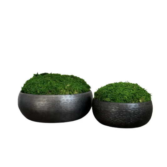Graphite hammered effect bowls displaying green preserved natural moss which requires no upkeep. Used by interior designers. Available to purchase from Albury House Interiors.