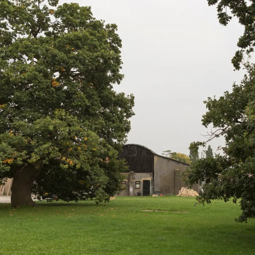housham-hall-farm-essex-where-chordal-green-and-albury-house-interiors-are-based