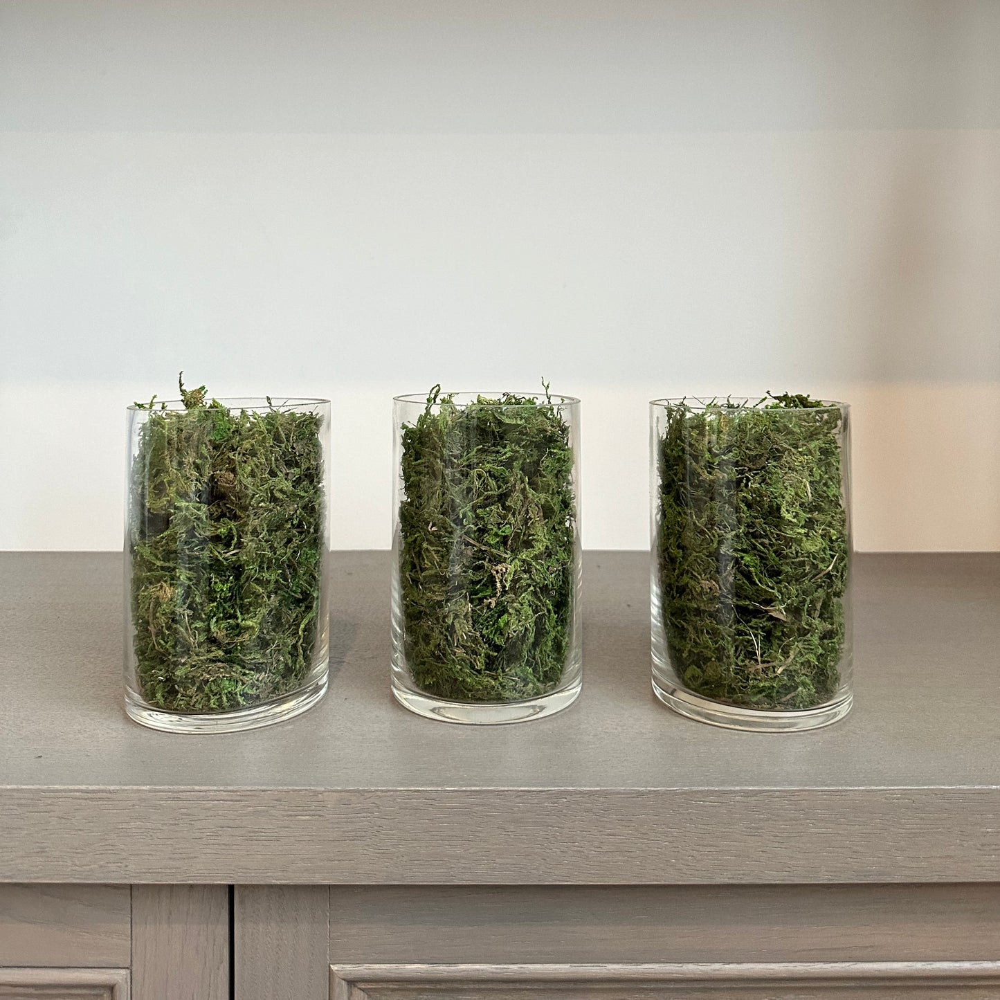 Natural Moss Cylinder Vase