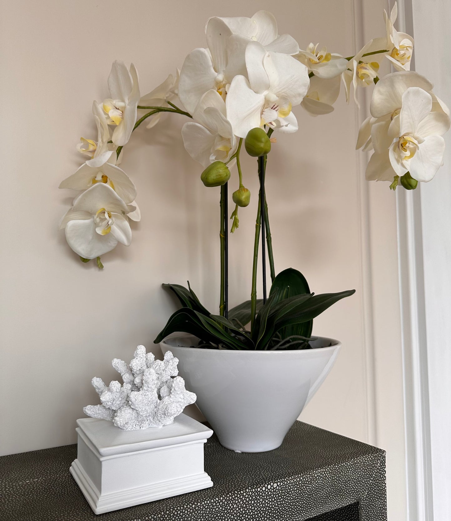 Orchid White Pot