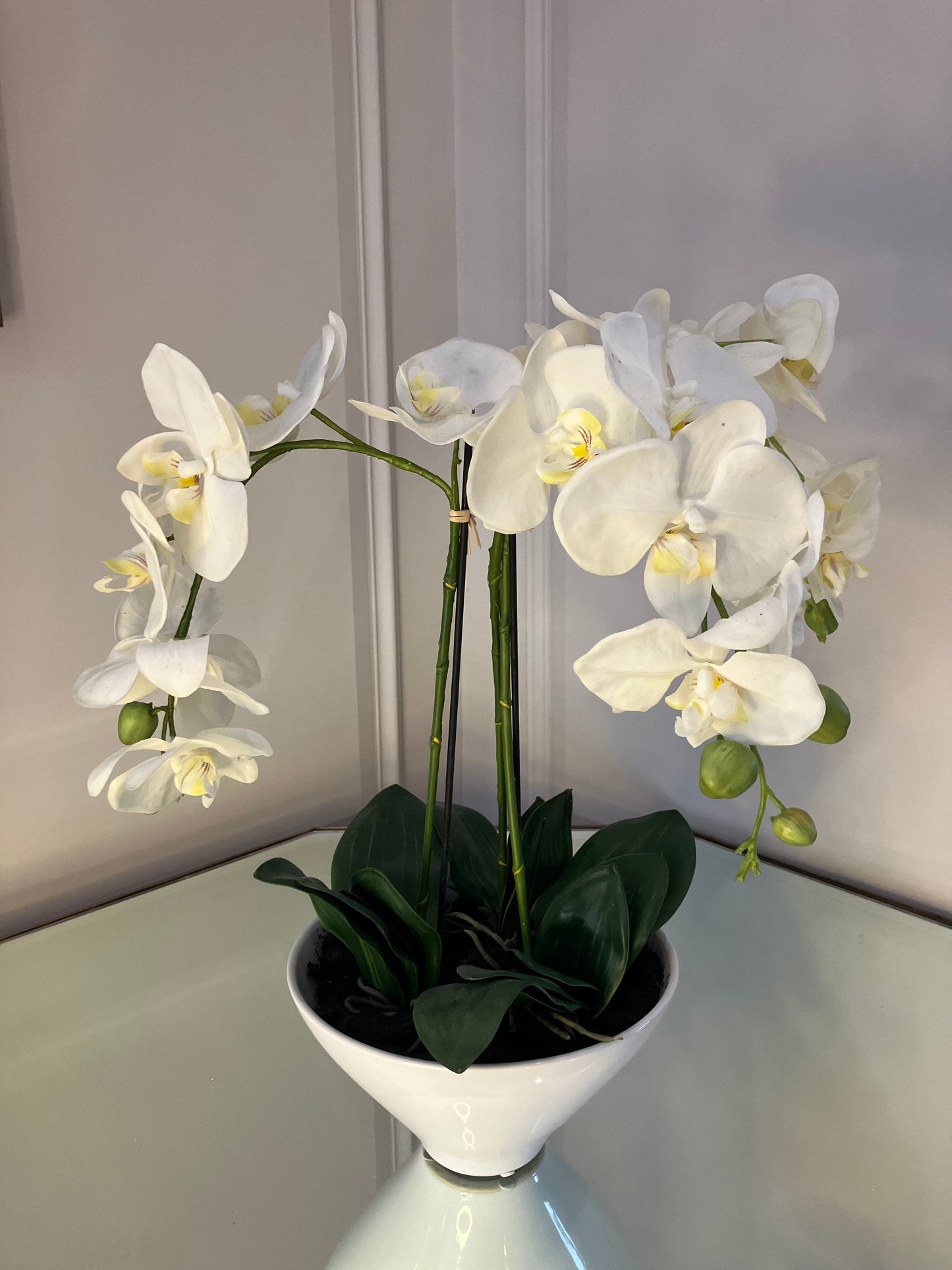 Orchid White Pot