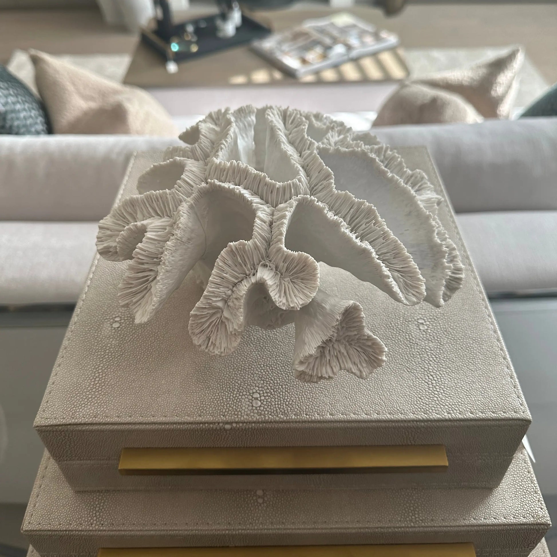 Large decorative white faux coral as used bye interior designers available to purchase at Albury House Interiors. Luxury homewares in the UK. 