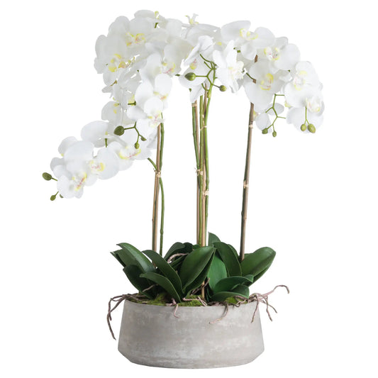 Large realistic faux orchid flower with of leaves and foliage, in grey cement stone round pot, available to purchase from Albury House Interiors - interior design and styling accessories.