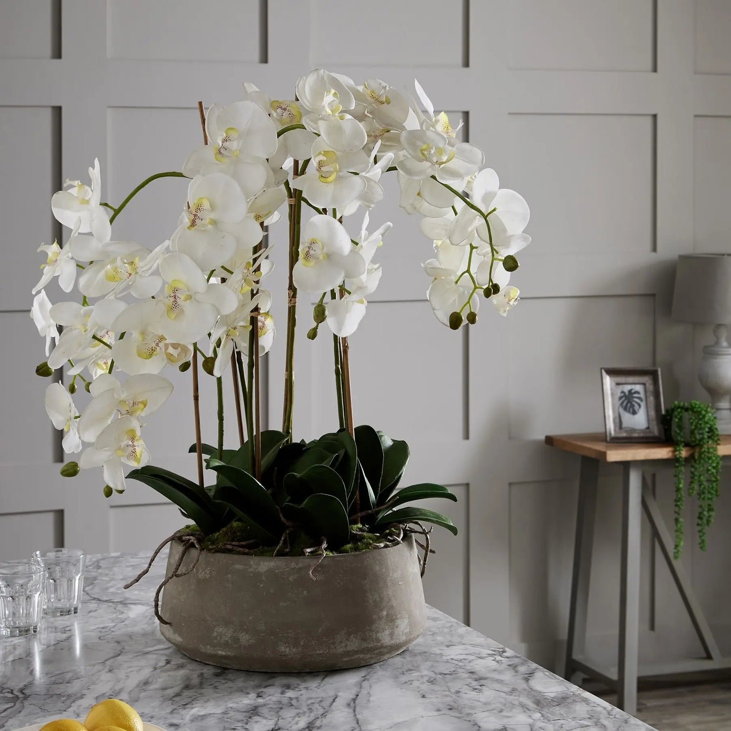 Large realistic faux orchid flower with of leaves and foliage, in grey cement stone round pot, available to purchase from Albury House Interiors - interior design and styling accessories.