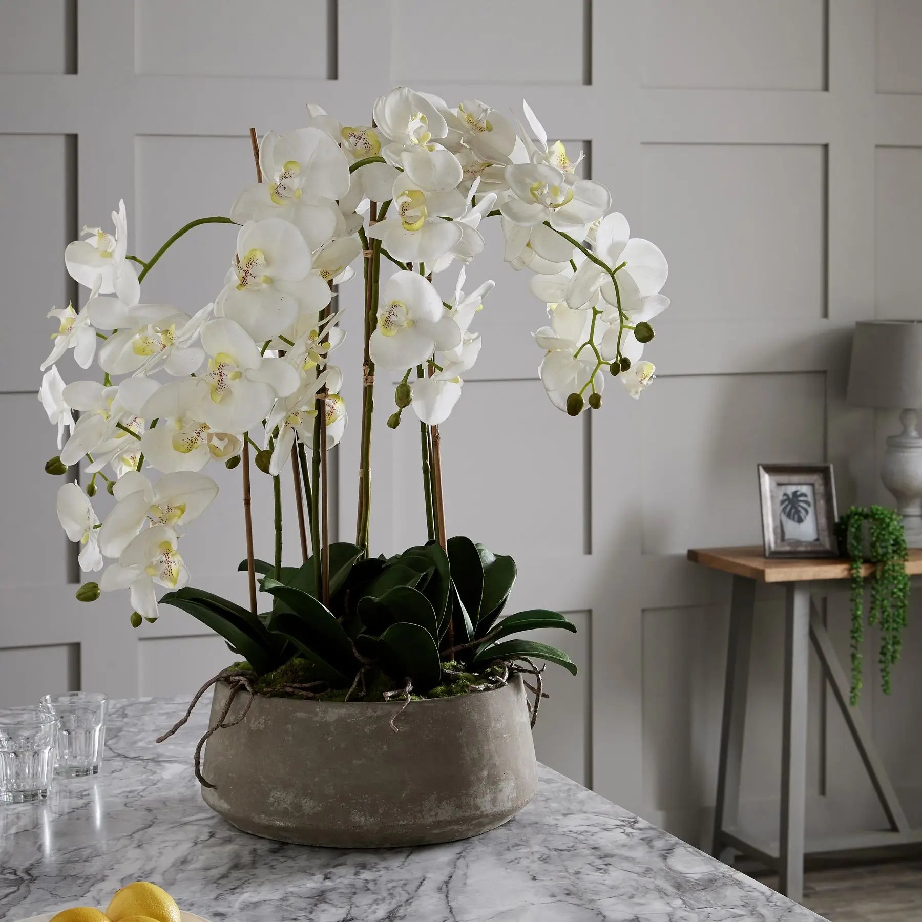 Large realistic faux orchid flower with of leaves and foliage, in grey cement stone round pot, available to purchase from Albury House Interiors - interior design and styling accessories.