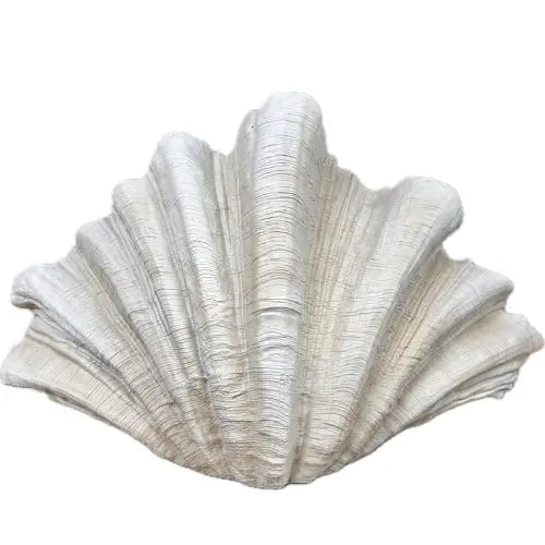 extra-large-clam-shell-vase-ornament-in-neutral-colours-at-albury-house-interiors-showroom-essex