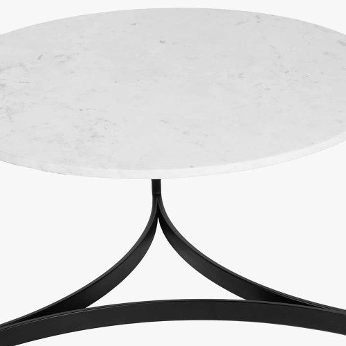 Marble Curved Leg Coffee Table