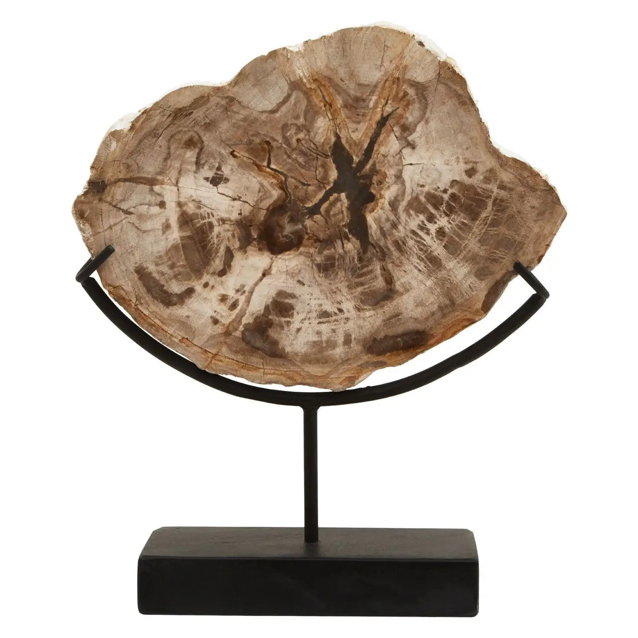 Natural petrified wood slice placed upon a black stand, for use in interior design on shelves, console tables, hallways, media walls etc. Available to purchase from Albury House Interiors, UK.