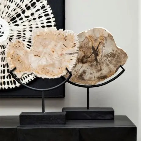 Natural petrified wood slice placed upon a black stand, for use in interior design on shelves, console tables, hallways, media walls etc. Available to purchase from Albury House Interiors, UK.